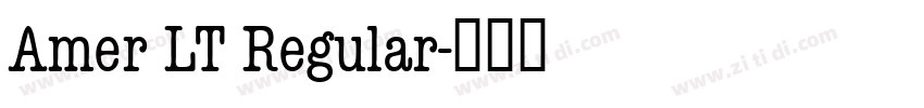 Amer LT Regular字体转换